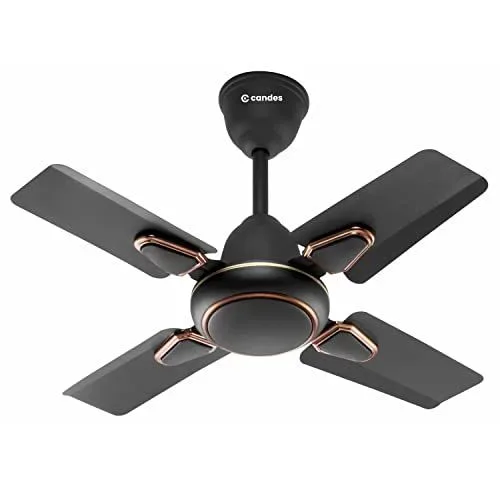 Ceiling fan